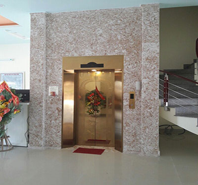 Thang máy tải khách 07