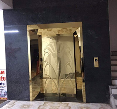 Thang máy tải khách 16